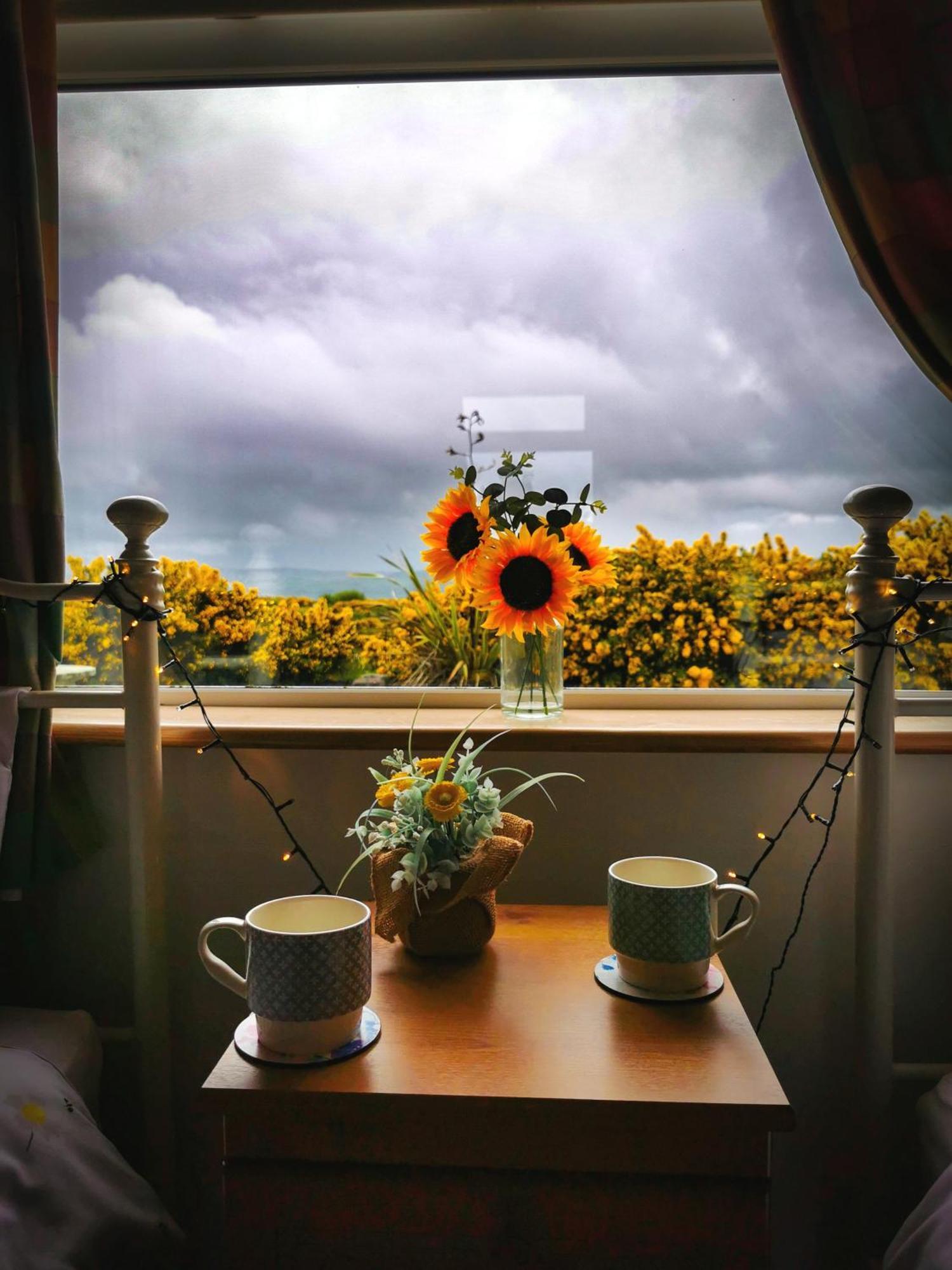 Causeway Coast Country Cottage, Pet-Friendly Ballycastle Eksteriør bilde