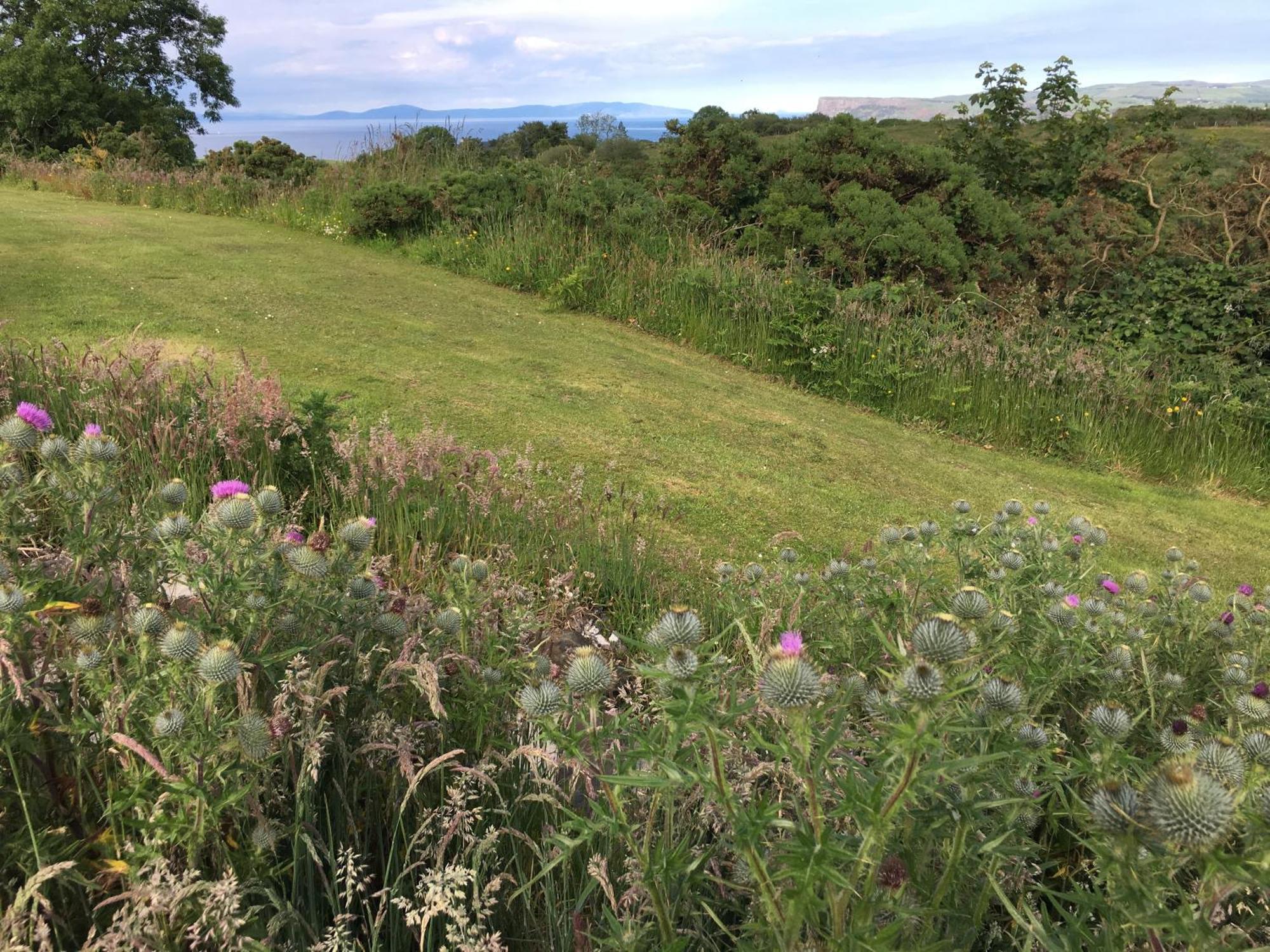 Causeway Coast Country Cottage, Pet-Friendly Ballycastle Eksteriør bilde
